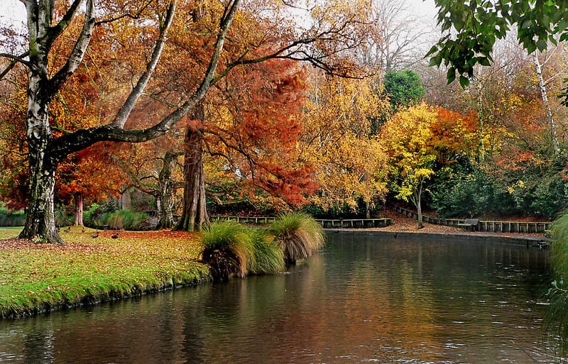 The Ōtakaro riverbank splendid with autumn colours